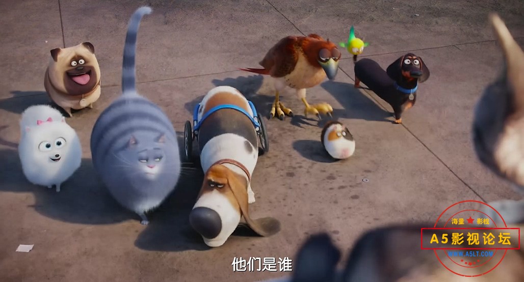 爱宠大机密下载