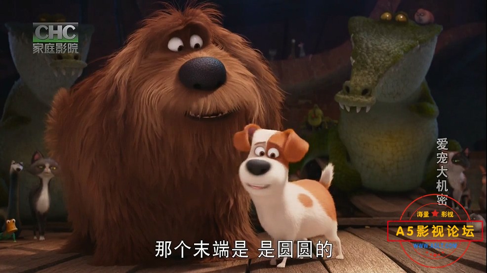 爱宠大机密迅雷下载