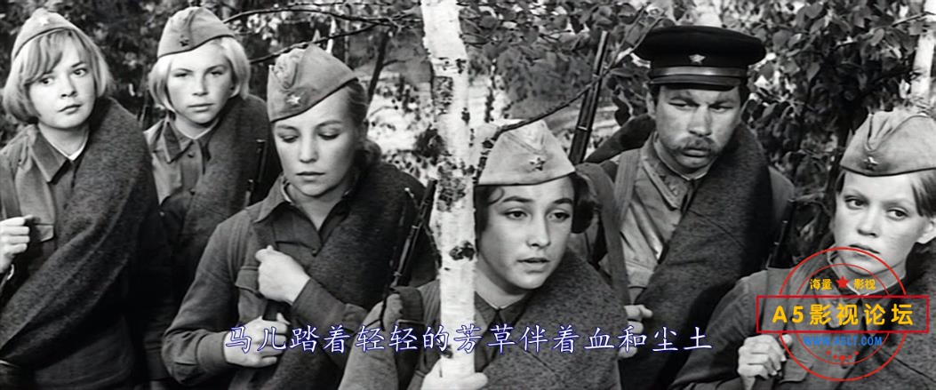 这里的黎明静悄悄粤语下载