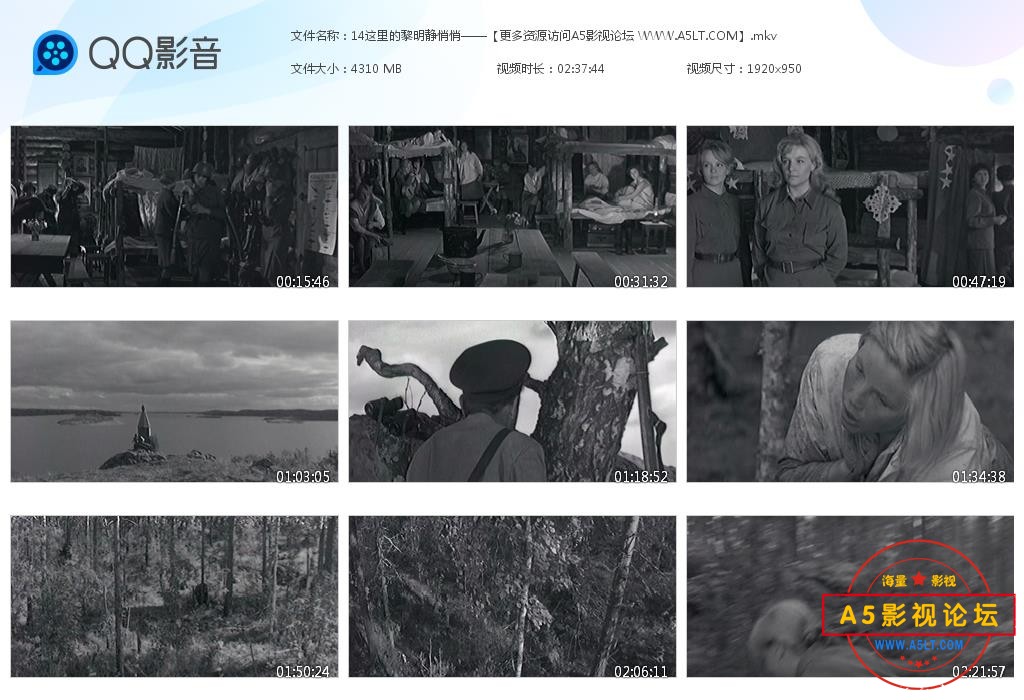 这里的黎明静悄悄下载