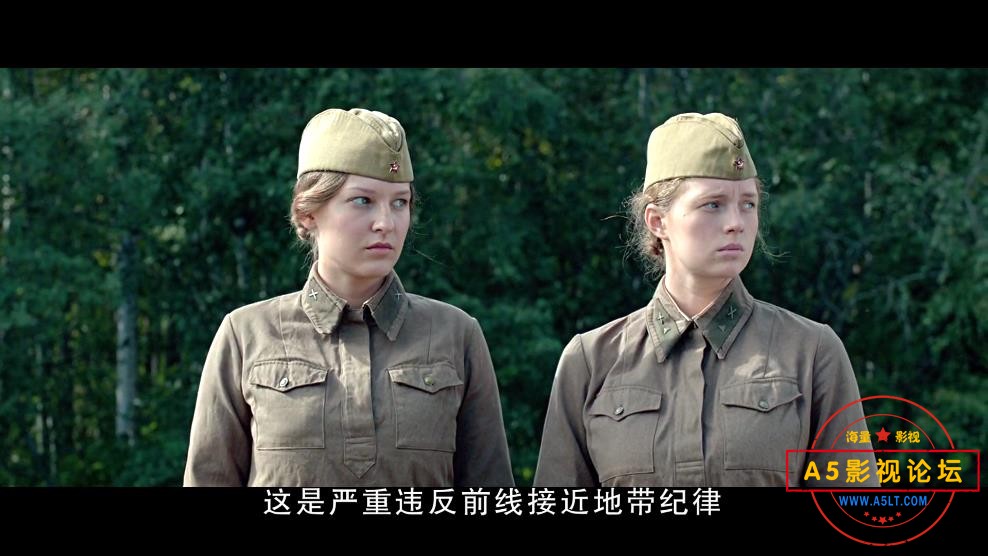 这里的黎明静悄悄下载