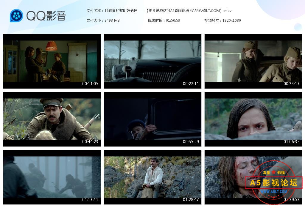 这里的黎明静悄悄下载