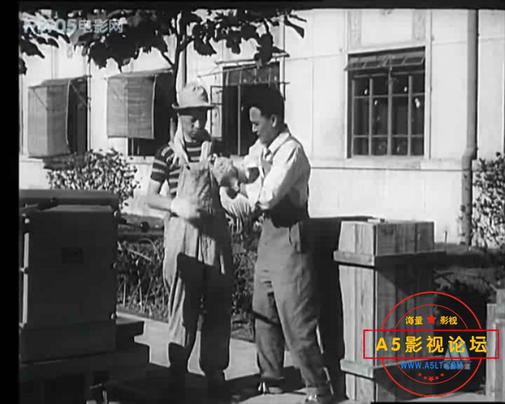 幸福 1957.mp4_20231207_135757707.jpg