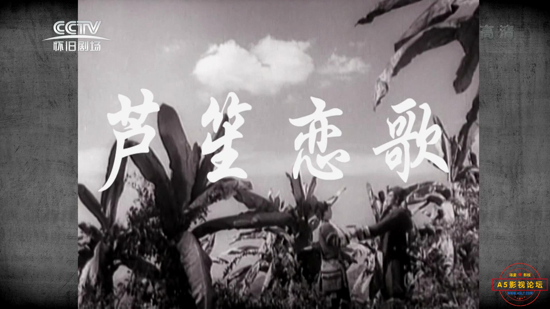 芦笙恋歌 1957.mp4_20231214_144702677.jpg