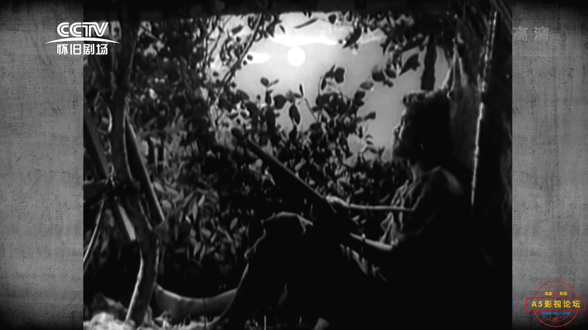 芦笙恋歌 1957.mp4_20231214_144756684.jpg