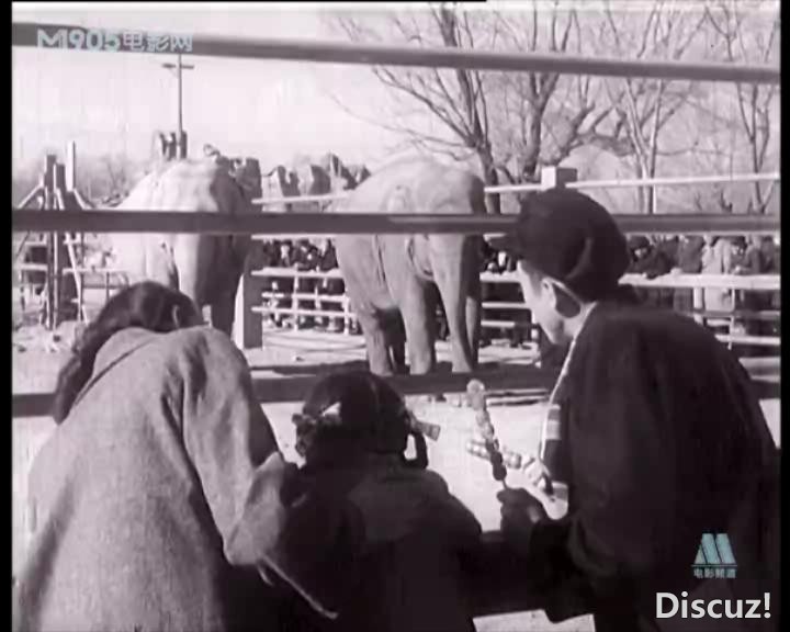 这决不是小事情（1956）.mp4_20231217_195821164.jpg