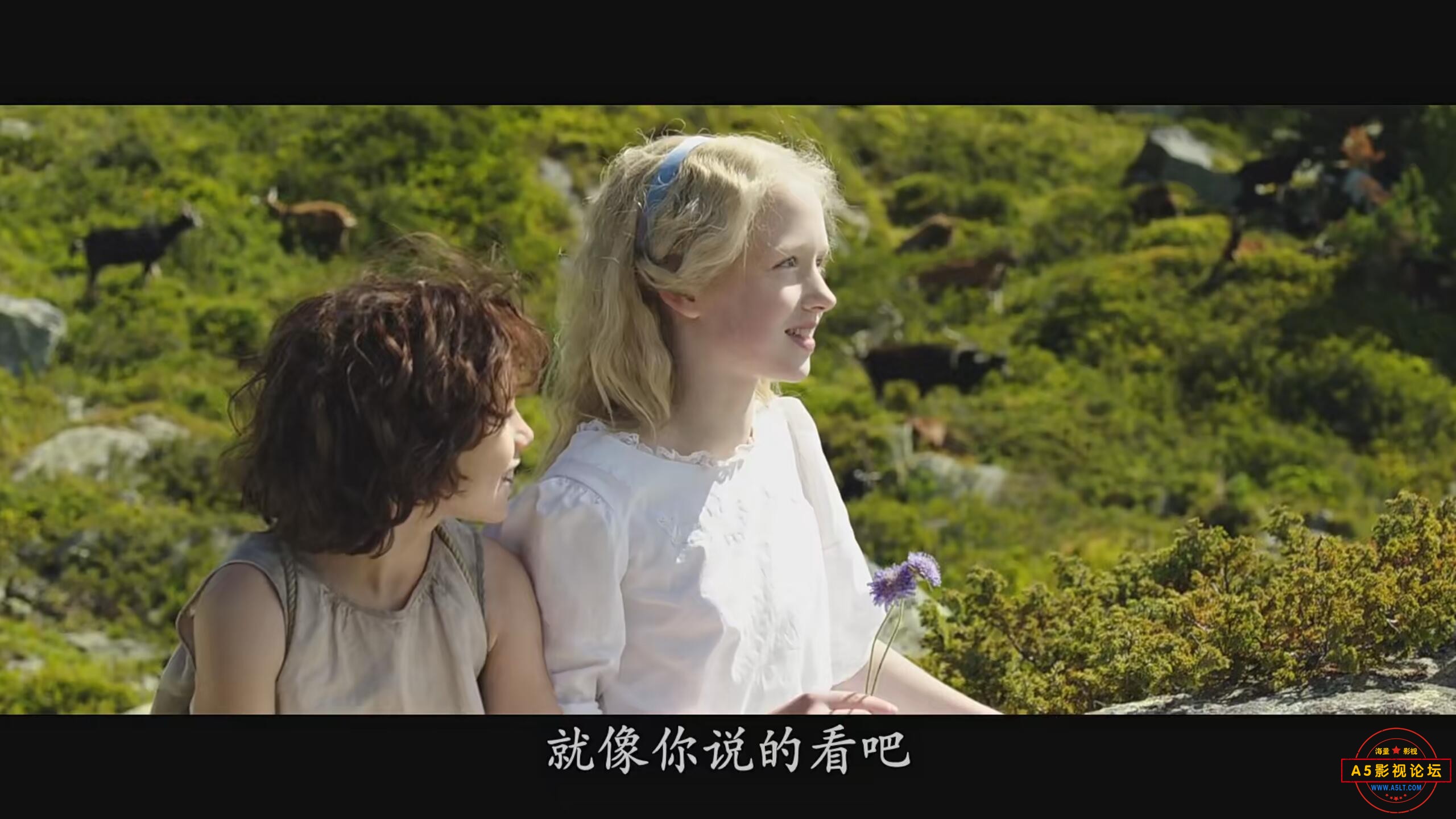 QQ图片20231219082706.jpg