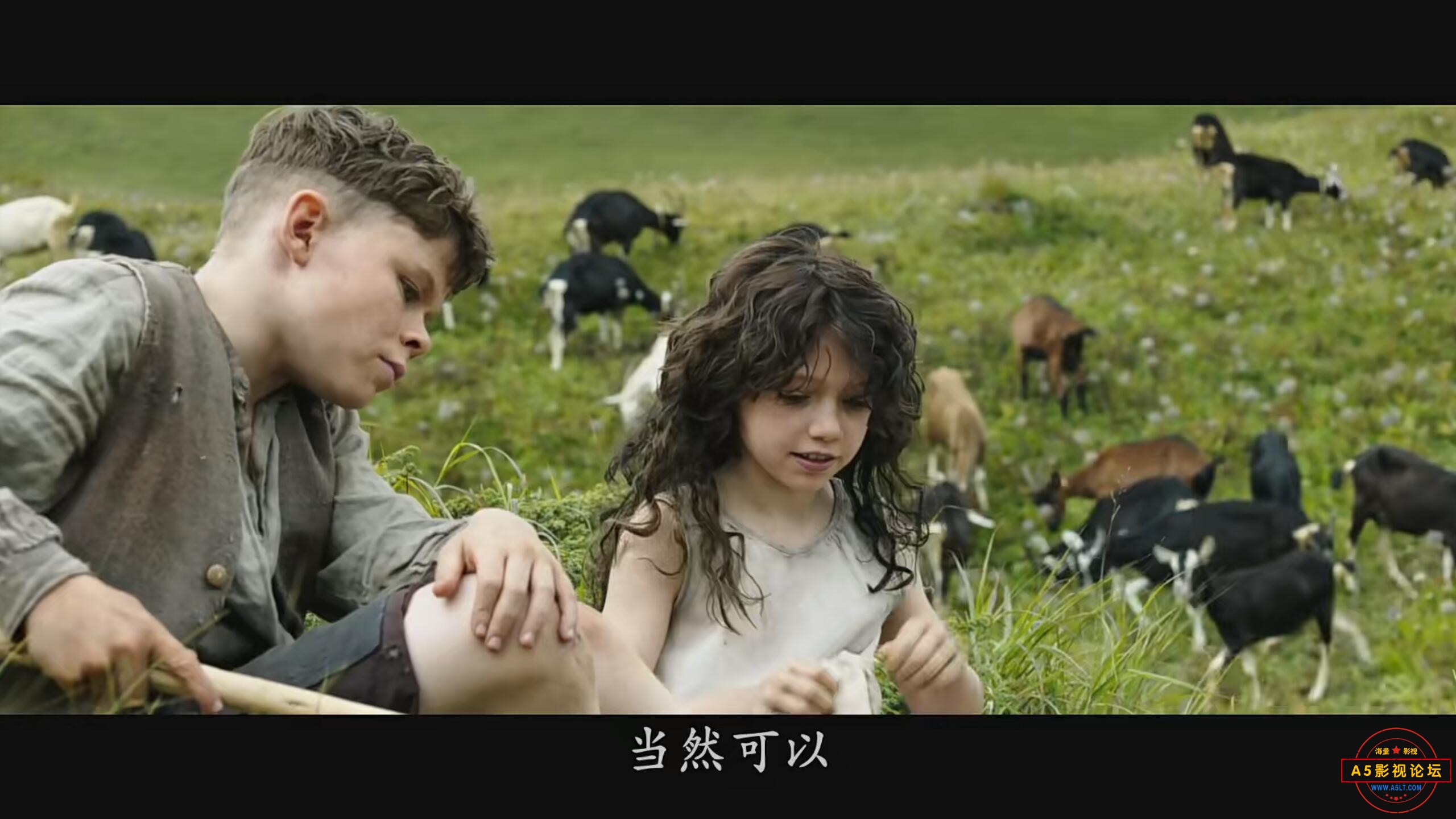 QQ图片20231219082622.jpg