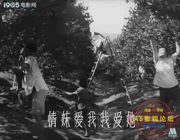 闽江橘子红 1955.mp4_20231222_213908590.jpg