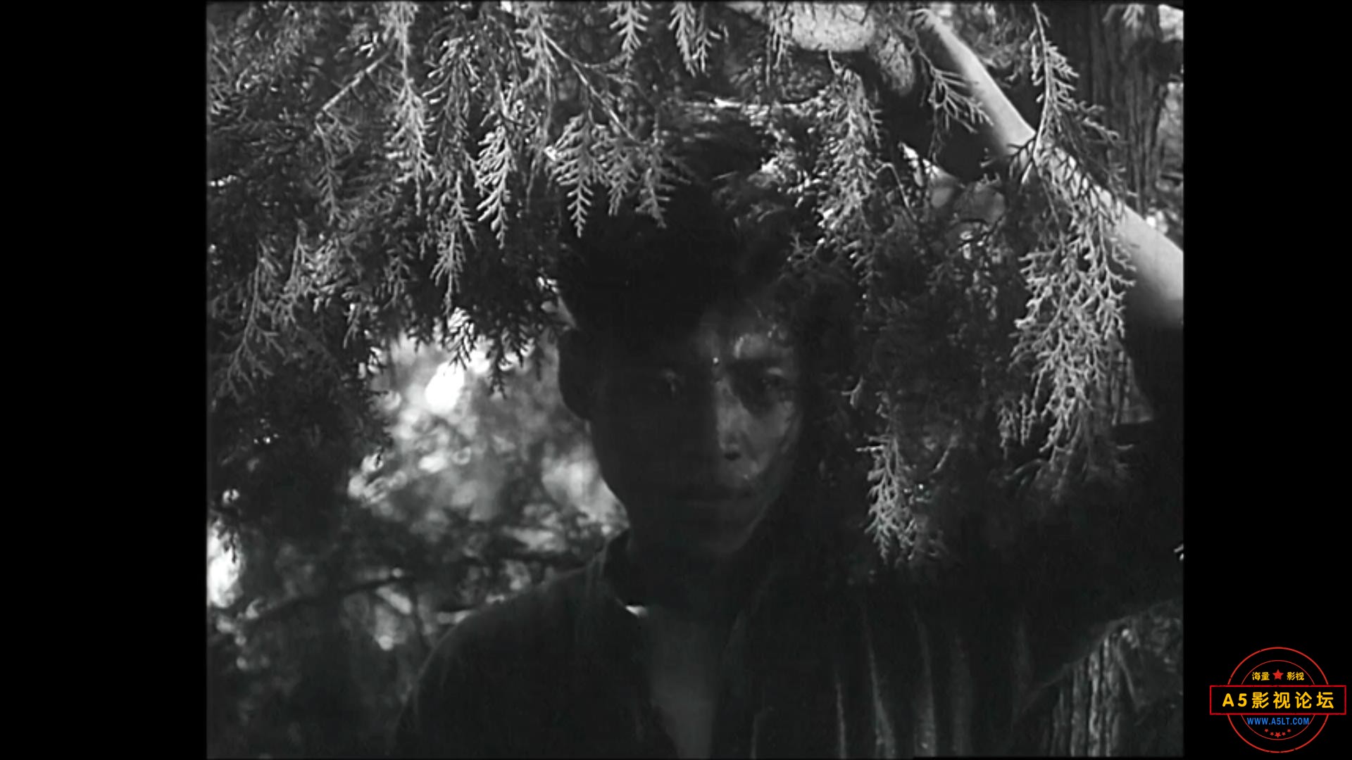 脚印 1955.mp4_20231224_192404272.jpg