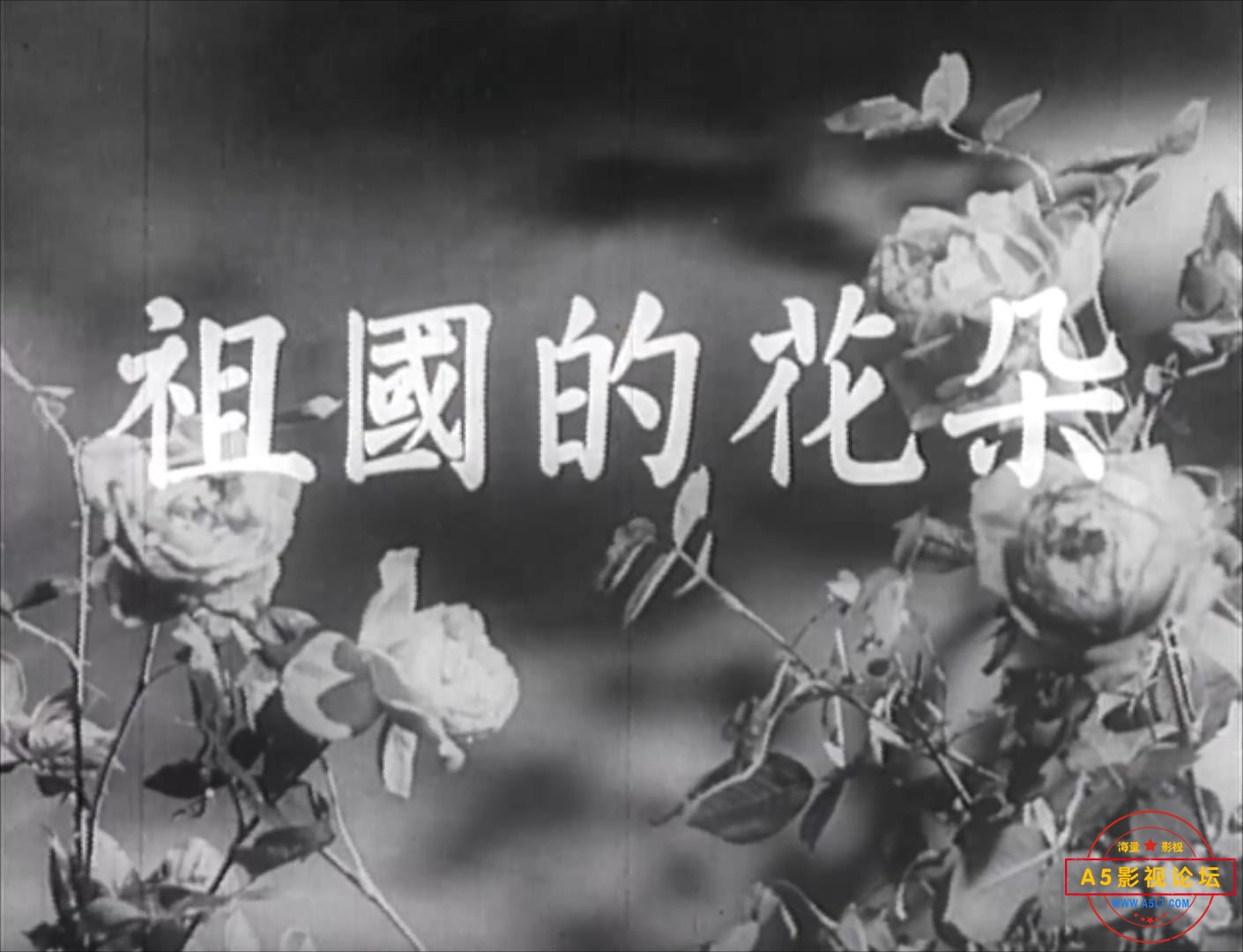 祖国的花朵1955.mp4_20231225_132754544.jpg
