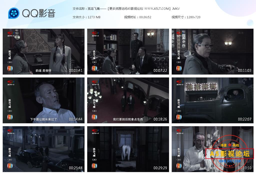 孤岛飞鹰