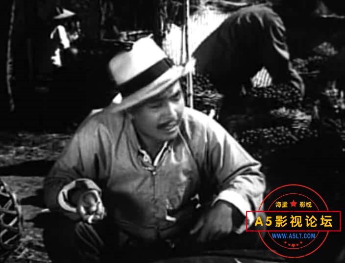 葡萄熟了的时候（东影.1953）.mp4_20231231_135833985.jpg