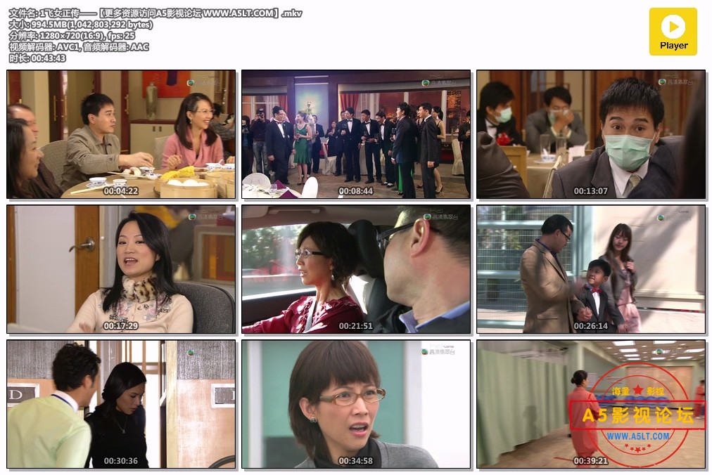 飞女正传