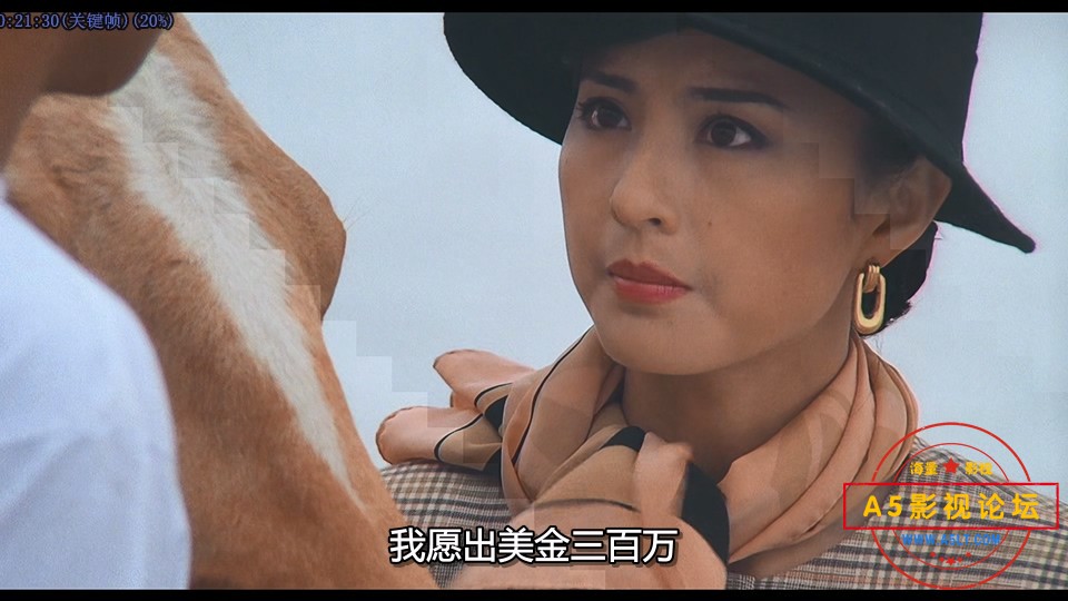卫斯理之霸王卸甲