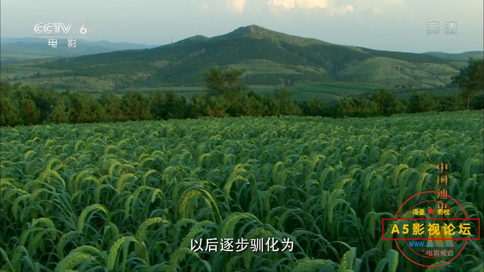 中国通史