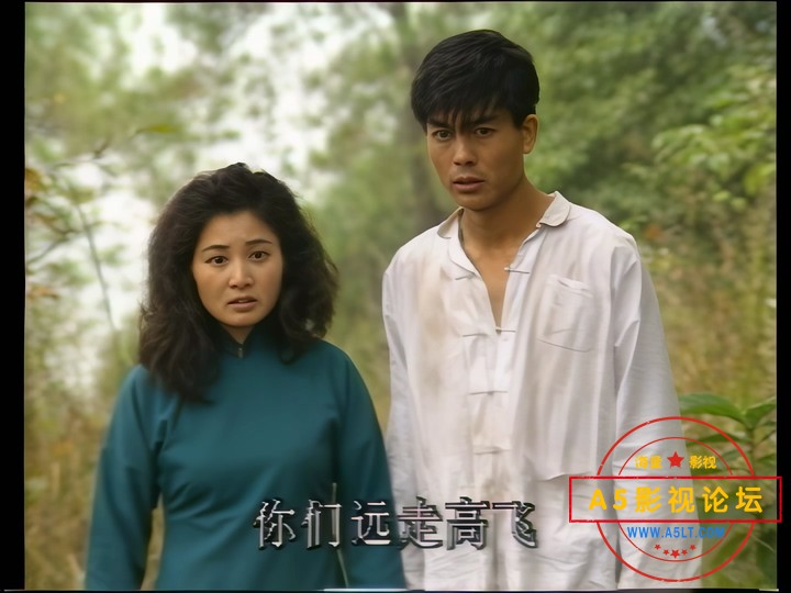傻儿师长