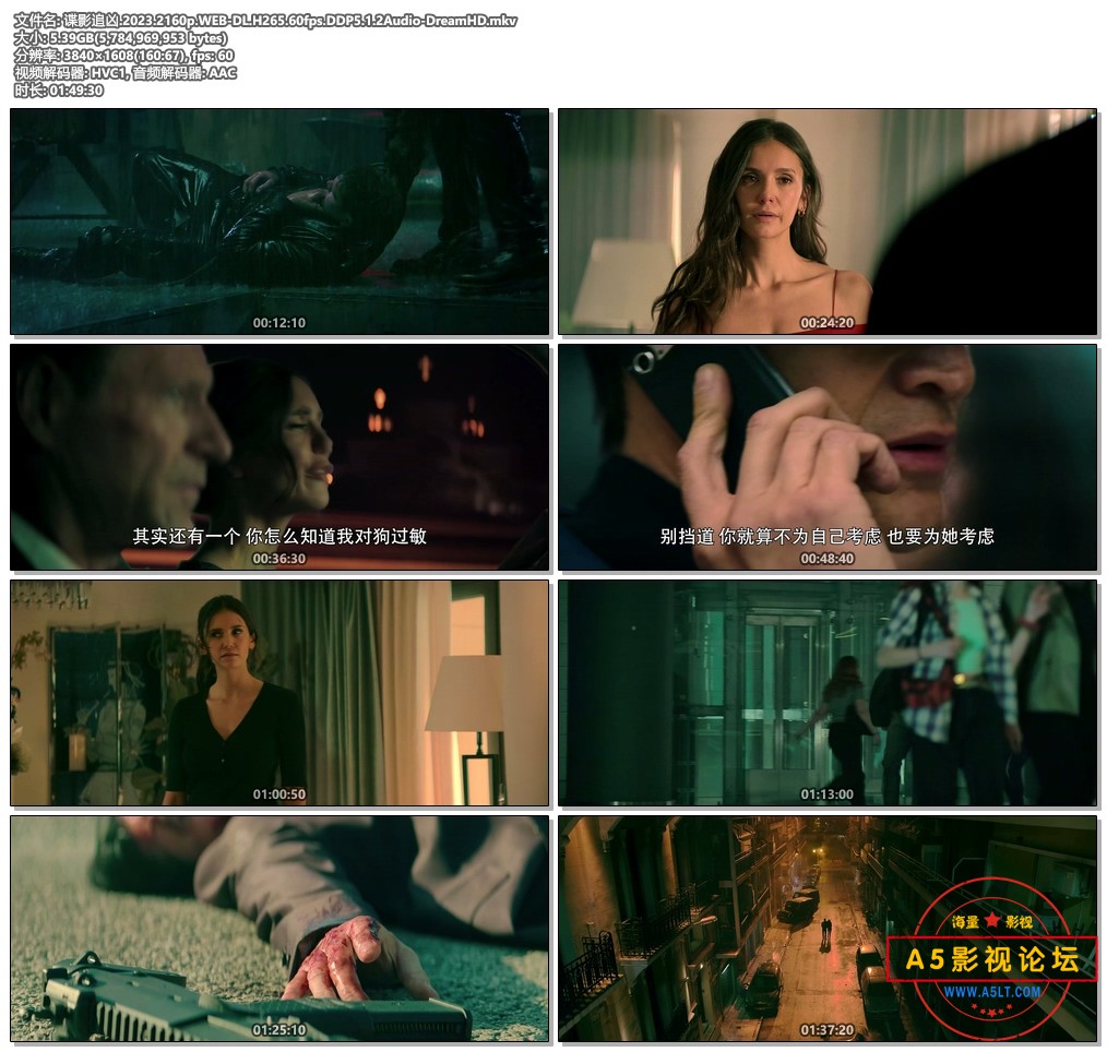 谍影追凶.2023.2160p.WEB-DL.H265.60fps.DDP5.1.2Audio-DreamHD.mkv.jpg
