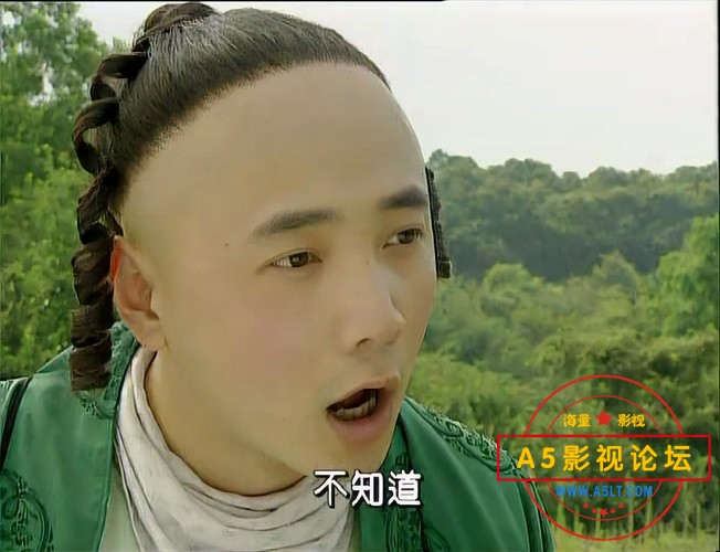春光灿烂猪八戒