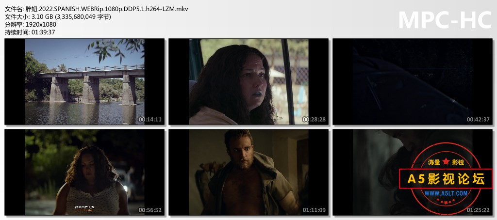 胖妞.2022.SPANISH.WEBRip.1080p.DDP5.1.h264-LZM.mkv_thumbs.jpg