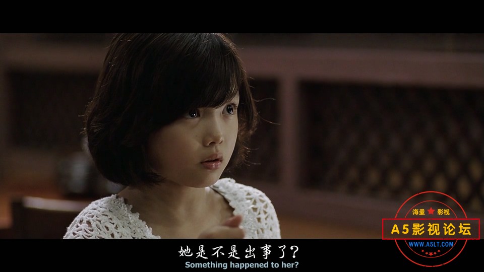 追击者