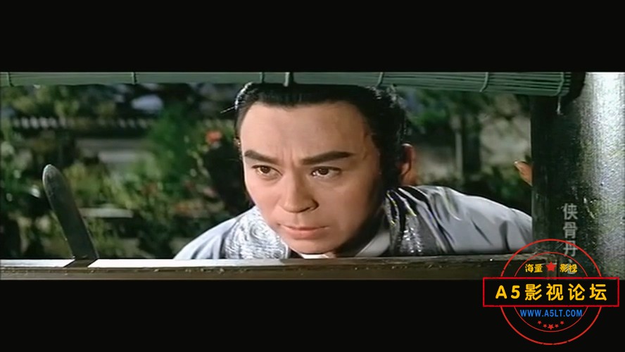 侠骨丹心
