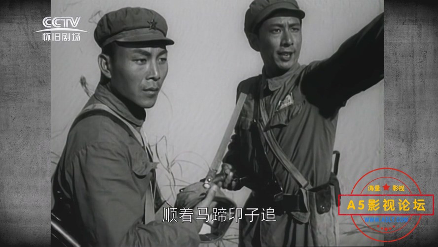沙漠追匪记