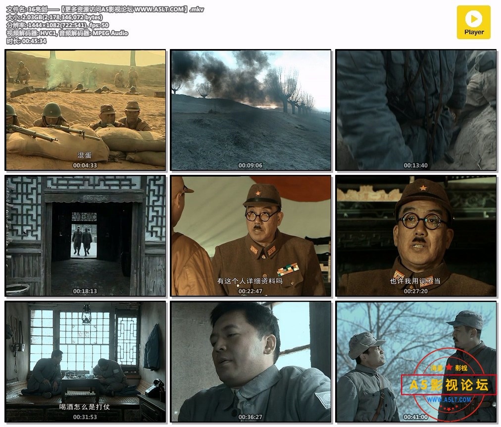 亮剑百度网盘下载,亮剑下载,电视剧亮剑迅雷下载
