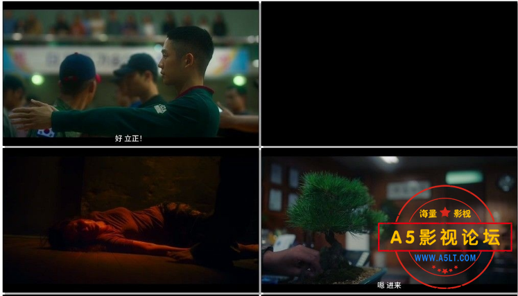 搜狗截图24年02月22日1704_2.png
