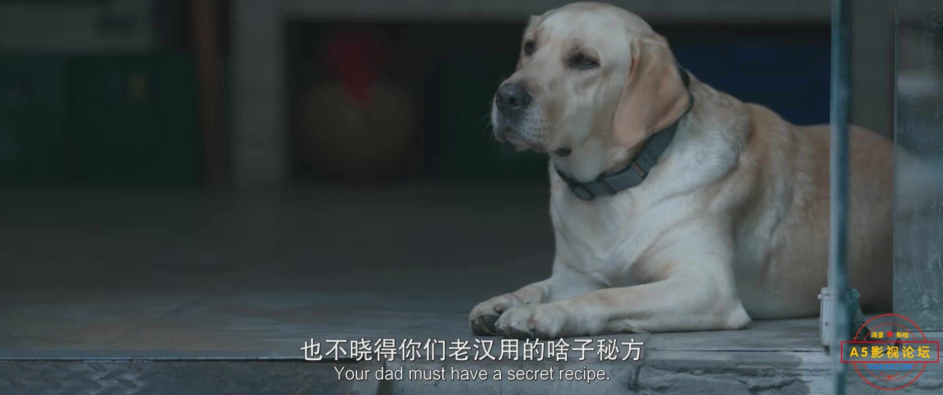 微信截图_20240223100023.jpg