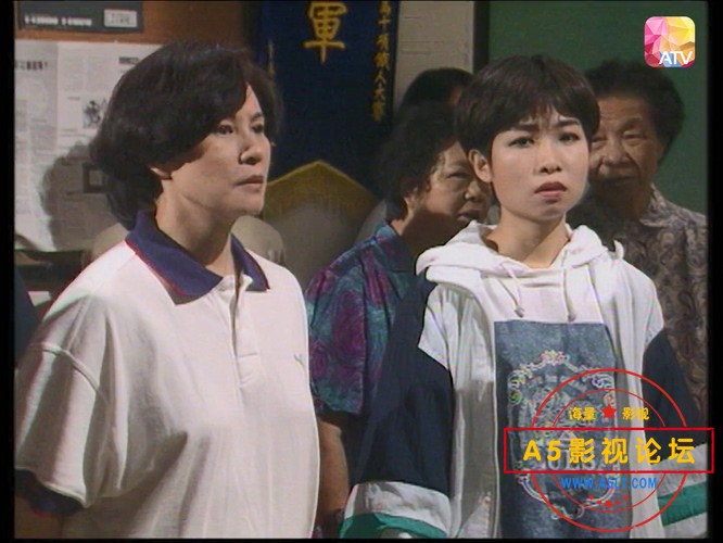 皇家警察实录