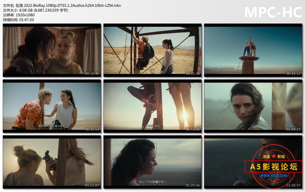 坠落.2022.BluRay.1080p.DTS5.1.2Audios.h264.10bit-LZM.mkv_thumbs.jpg