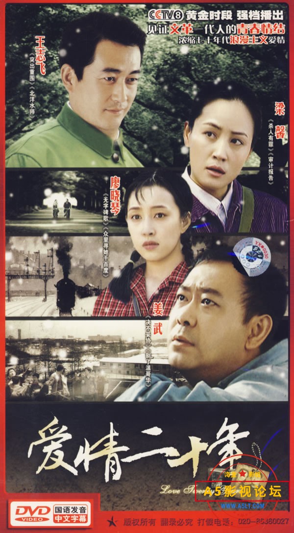 爱情二十年.jpg