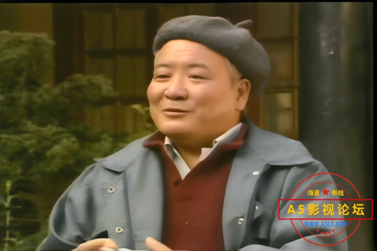 五朵金花的儿女