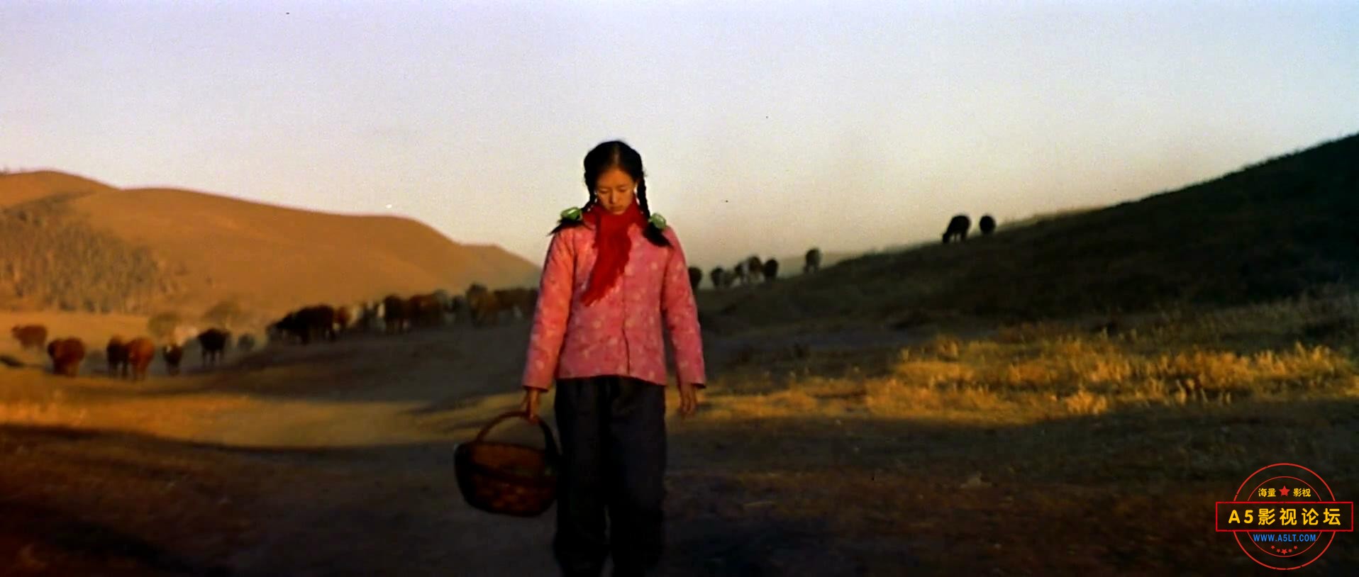 我的父亲母亲（广西.1999）.mp4_20240319_190627626.jpg