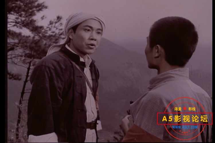枫树湾