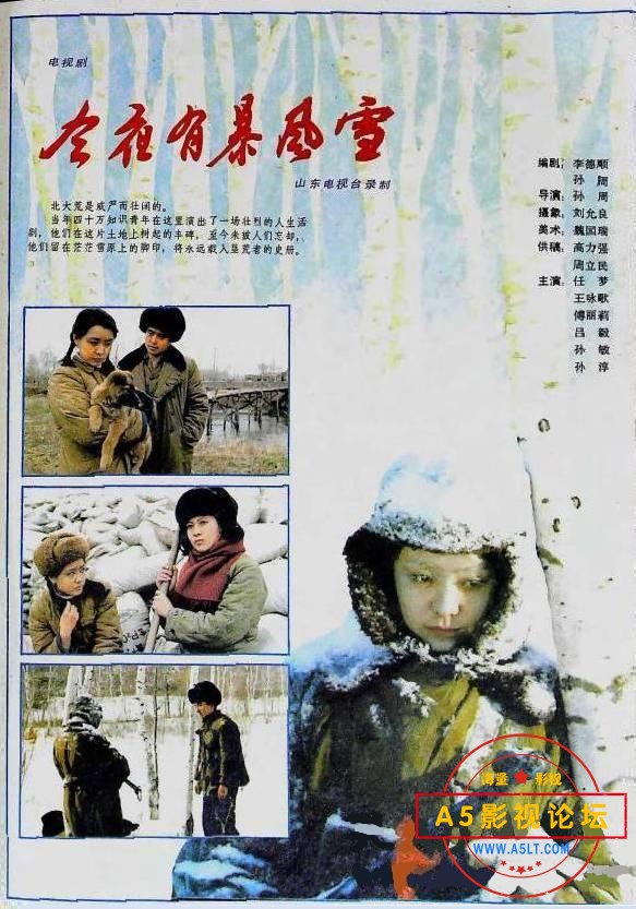 今夜有暴风雪.jpg