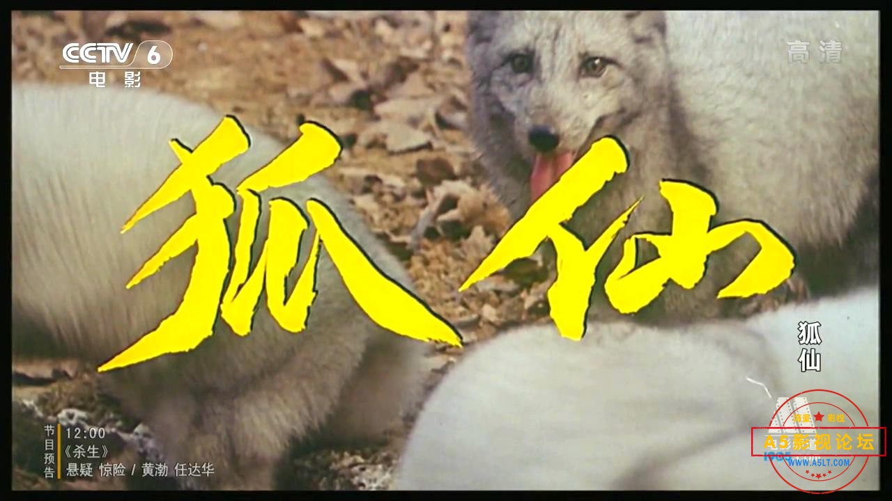 狐仙（广西.1992）.mp4_20240327_112855374.jpg