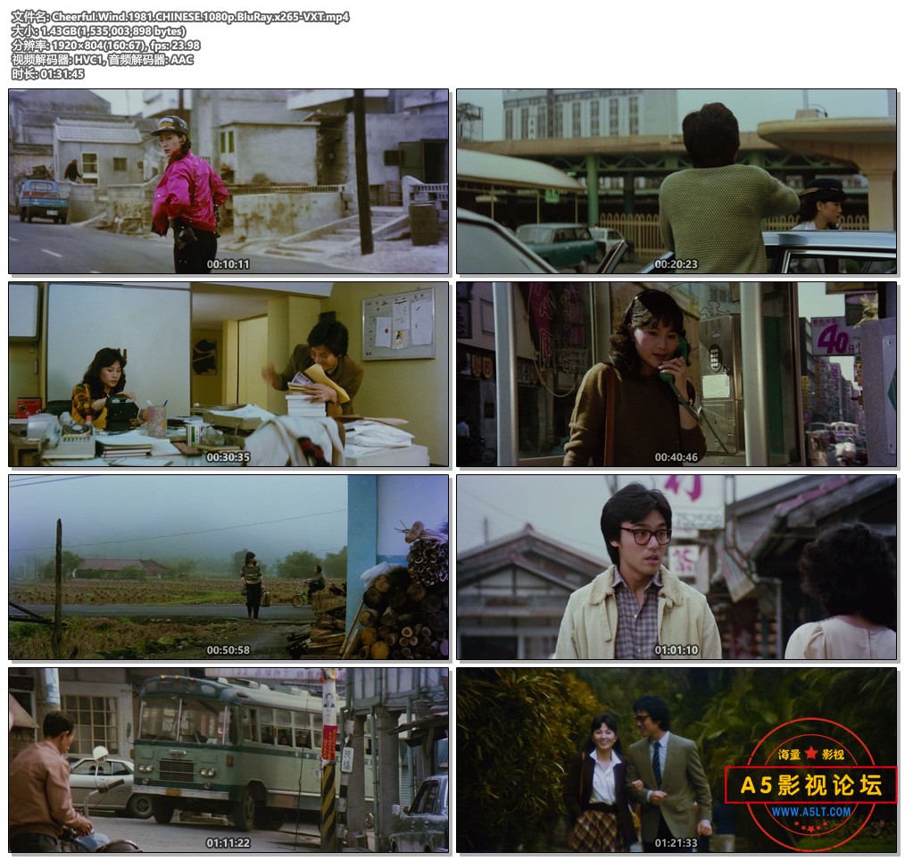 Cheerful.Wind.1981.CHINESE.1080p.BluRay.x265-VXT.mp4.jpg