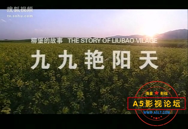 电影传奇-柳堡的故事：九九艳阳天.mp4_20240330_162652.961.jpg