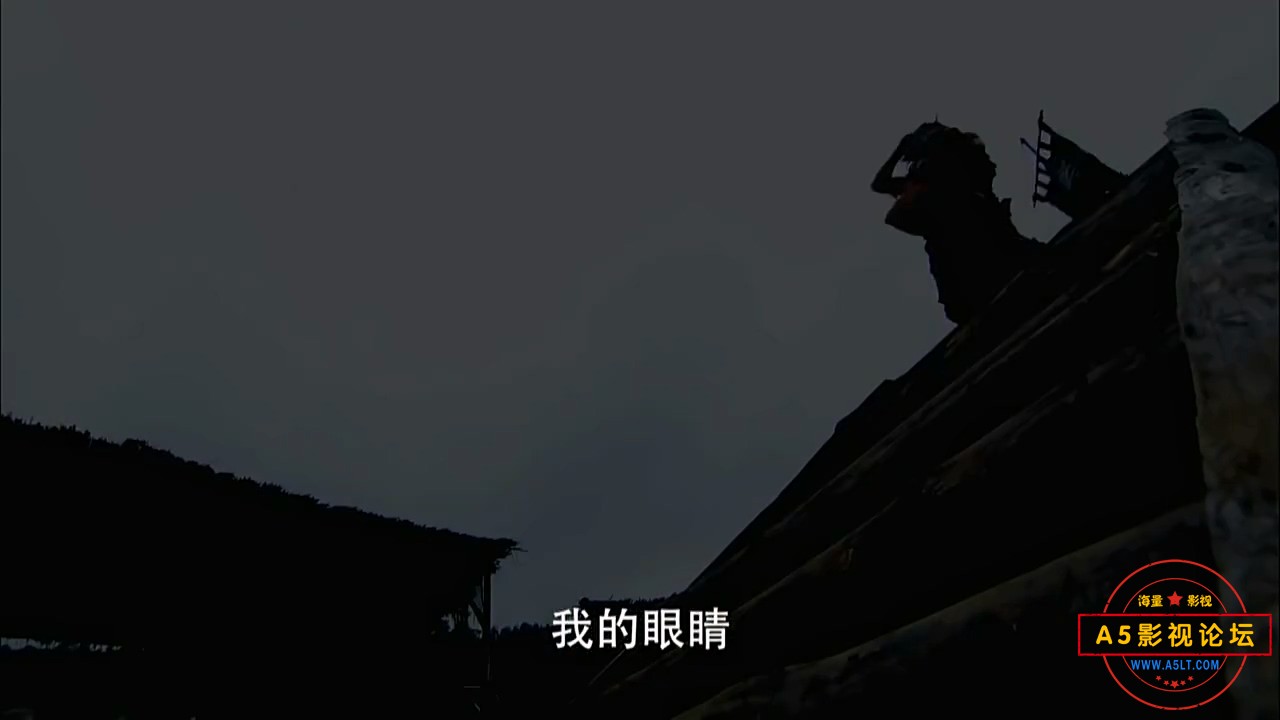 大舜 (01).mp4_20240401_213526.799.jpg