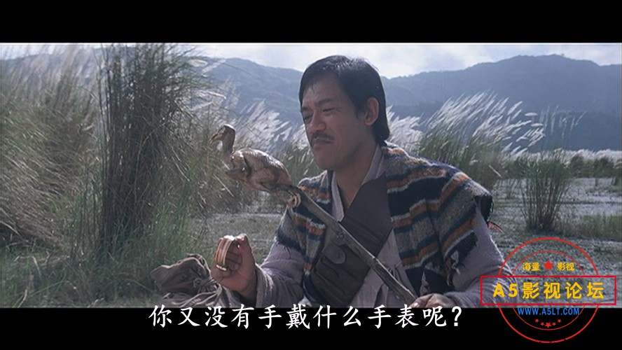 中华战士——【更多资源访问A5影视论坛 WWW.A5LT.COM】.mkv_20240405_162347.693.jpg