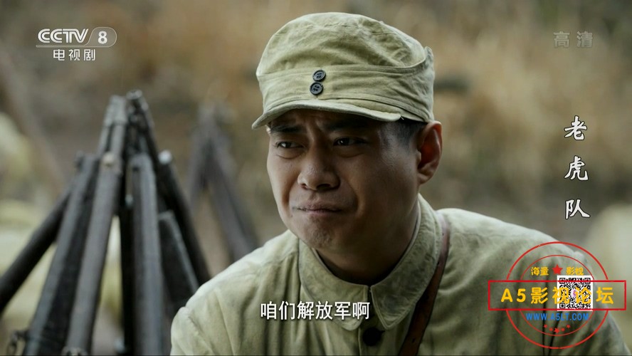 老虎队