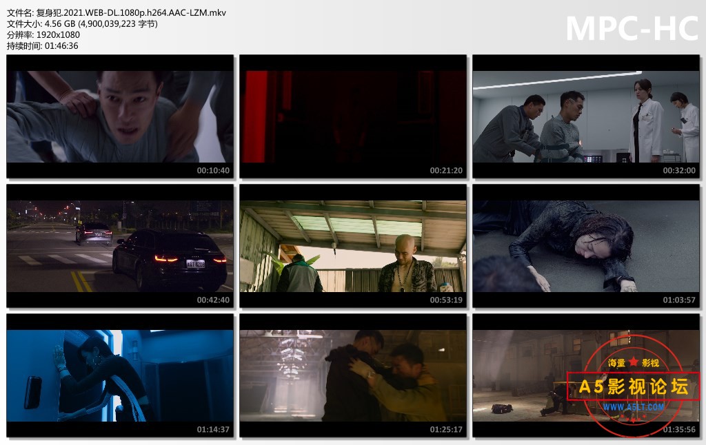 复身犯.2021.WEB-DL.1080p.h264.AAC-LZM.mkv_thumbs.jpg