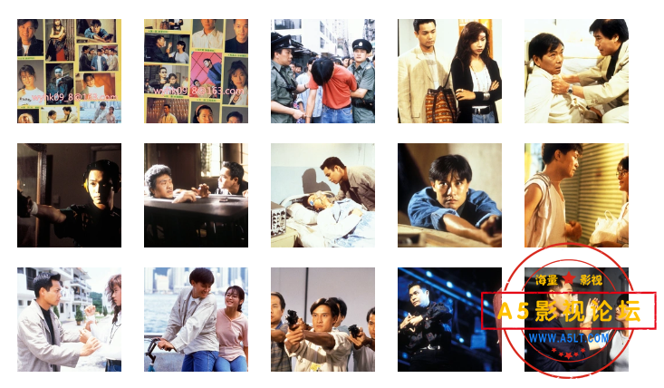 搜狗截图24年05月13日1933_5.png