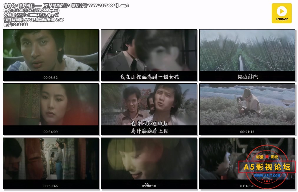 奔向彩虹