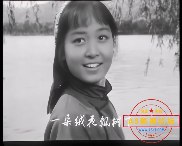 5枯木逢春 (2).jpg