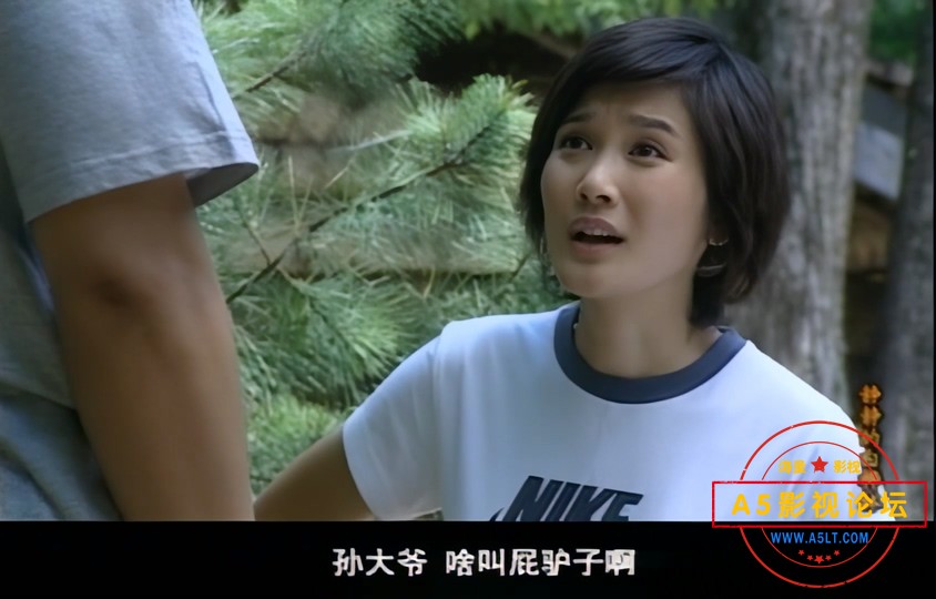 静静的白桦林