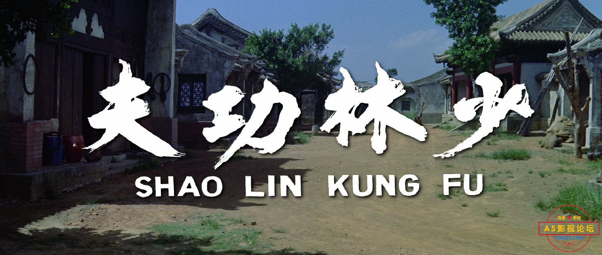 少林功夫Shaolin.Kung.Fu.1974.DUBBED.1080p.BluRay.x265-RARBG.mkv_snapshot_00.00.30.041.jpg
