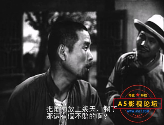 葡萄熟了的时候